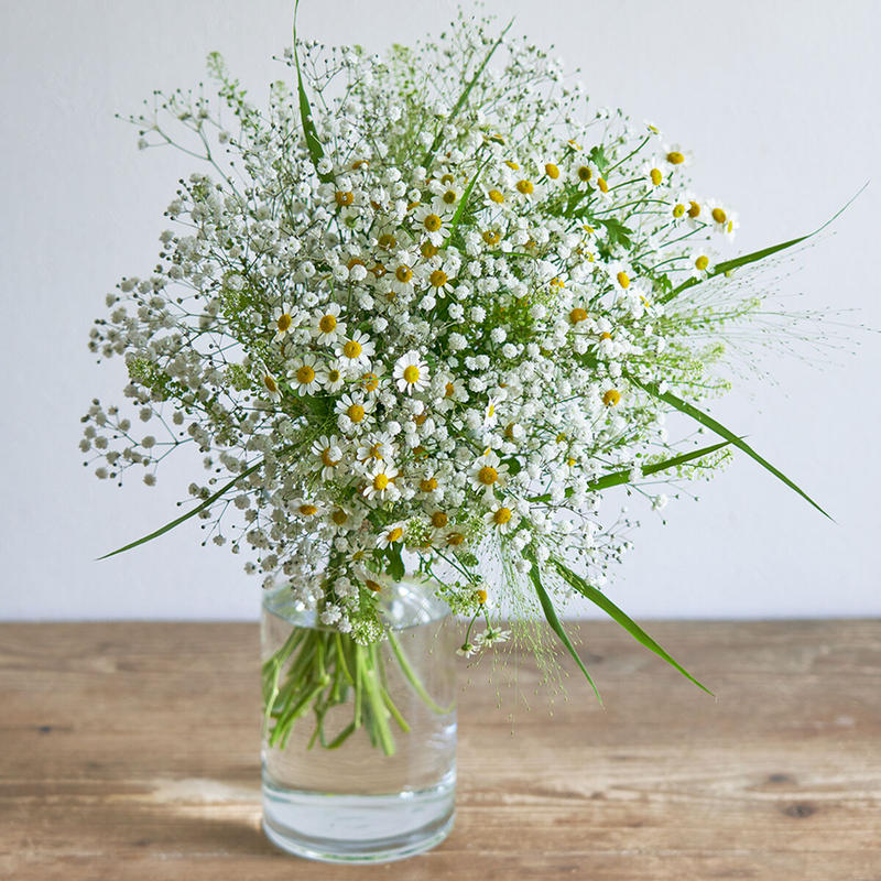 ことばの花束 感謝 かすみ草 Kusakanmuri ことばの花束 感謝 かすみ草 Kusakanmuri