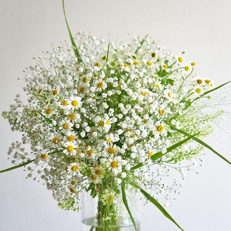 ことばの花束 感謝 かすみ草 Kusakanmuri ことばの花束 感謝 かすみ草 Kusakanmuri