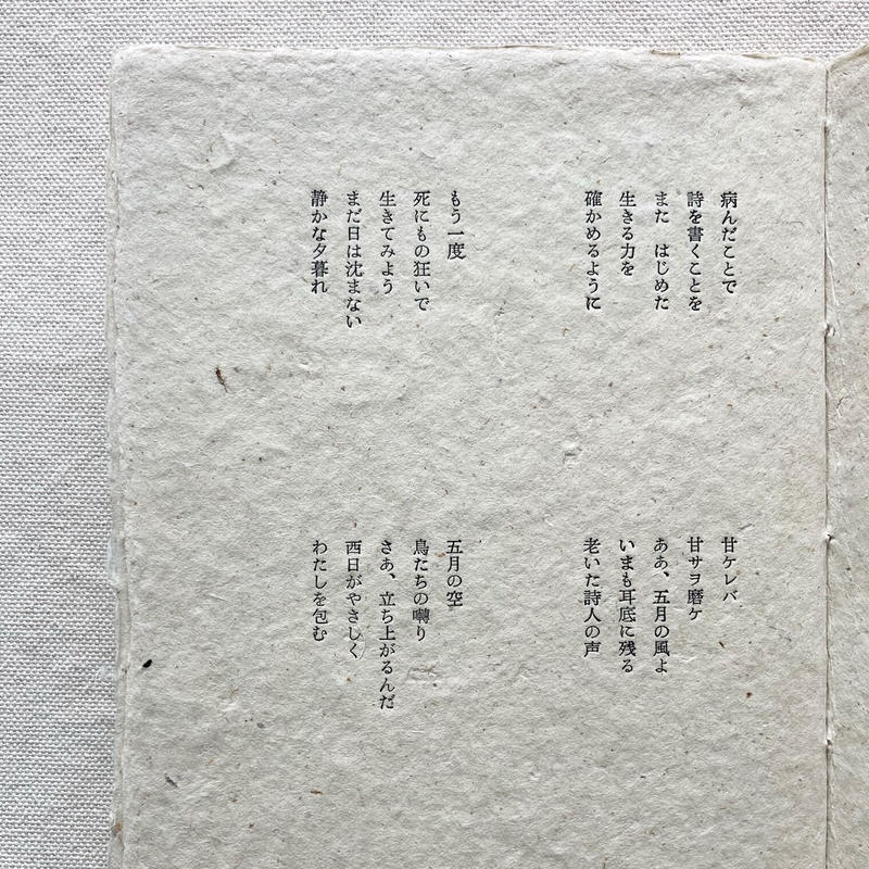 双紙 いのちかたり 創刊号 曲線