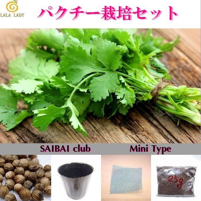 栽培クラブ ハーブ パクチー コリアンダー 栽培セット ミニタイプ S L