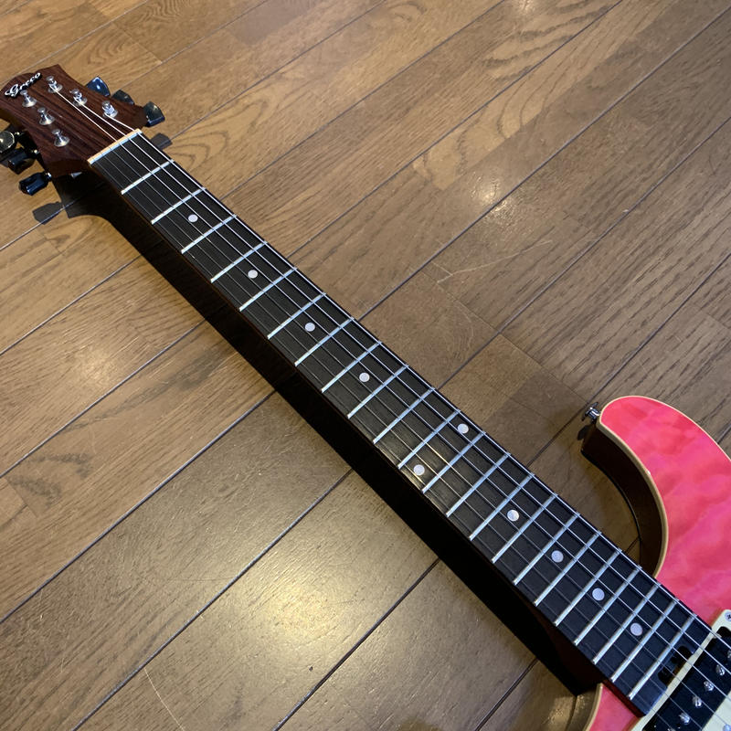 ★お値下げしました！【Greco・WS-STD SSH】エレキギター販売中！ ☆お値下げしました！【Greco・WS-STD SSH】エレキギター販売中