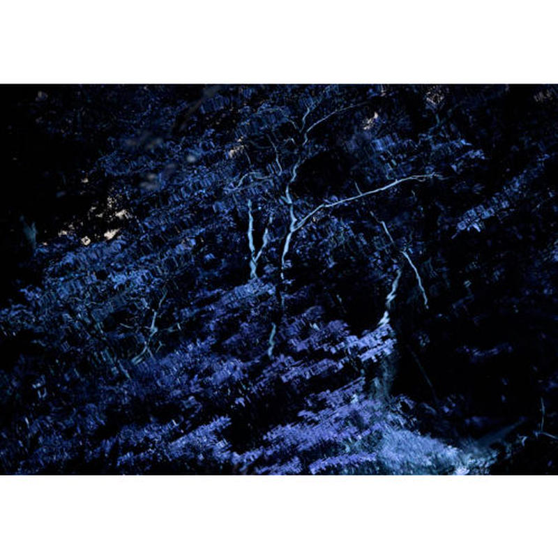 中村紋子写真集 Silence Libroarte 中村紋子写真集 Silence Libroarte