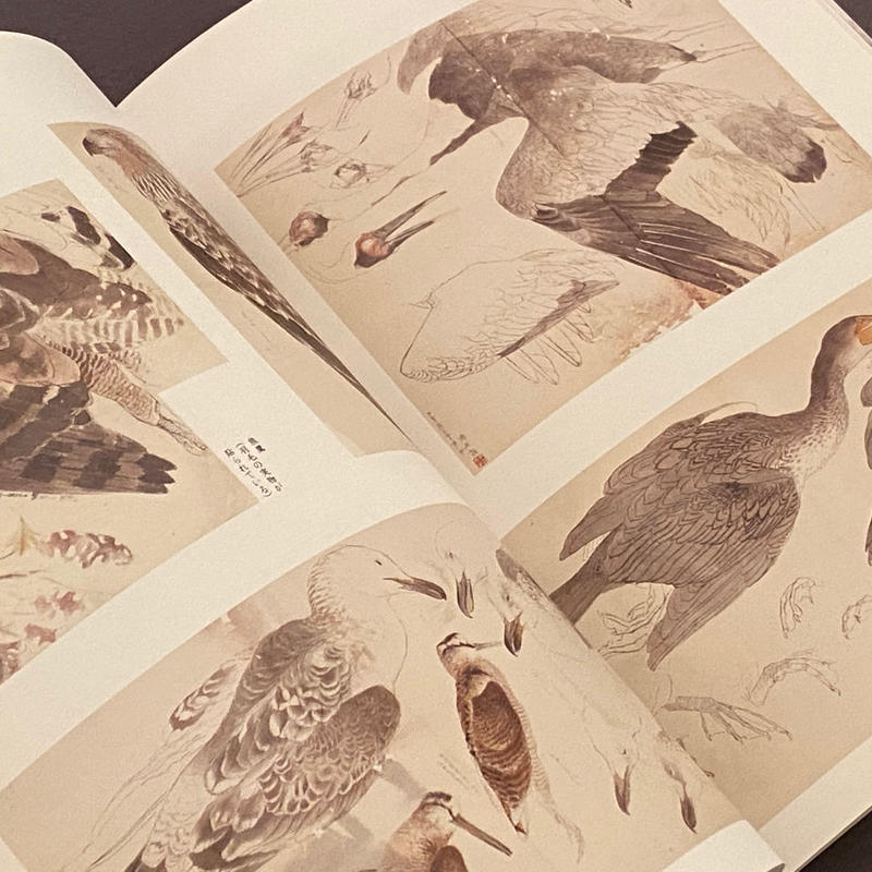 木島櫻谷 近代動物画の冒険 Lieb Books 木島櫻谷 近代動物画の冒険 Lieb Books