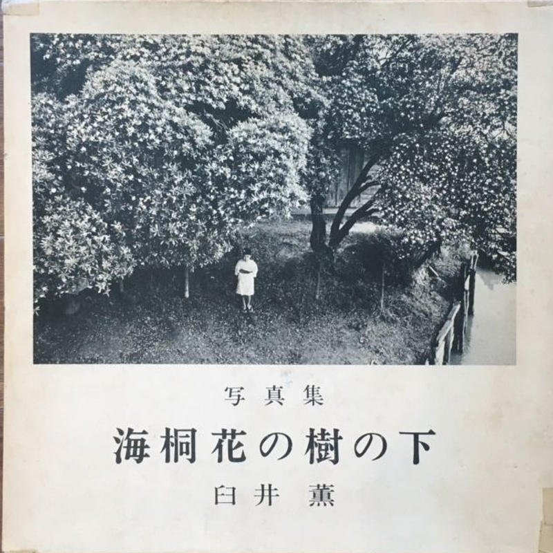 海桐花の樹の下 臼井薫 Lieb Books