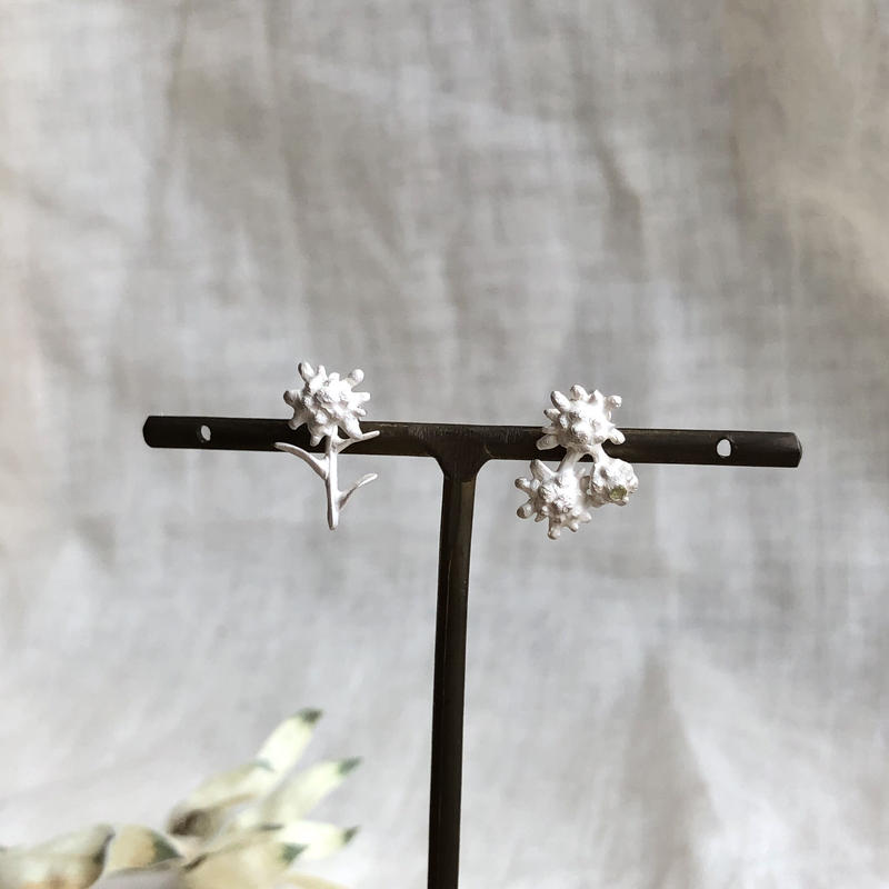 8月誕生花 誕生石 エーデルワイスのピアス Gold Silver Lilaf M
