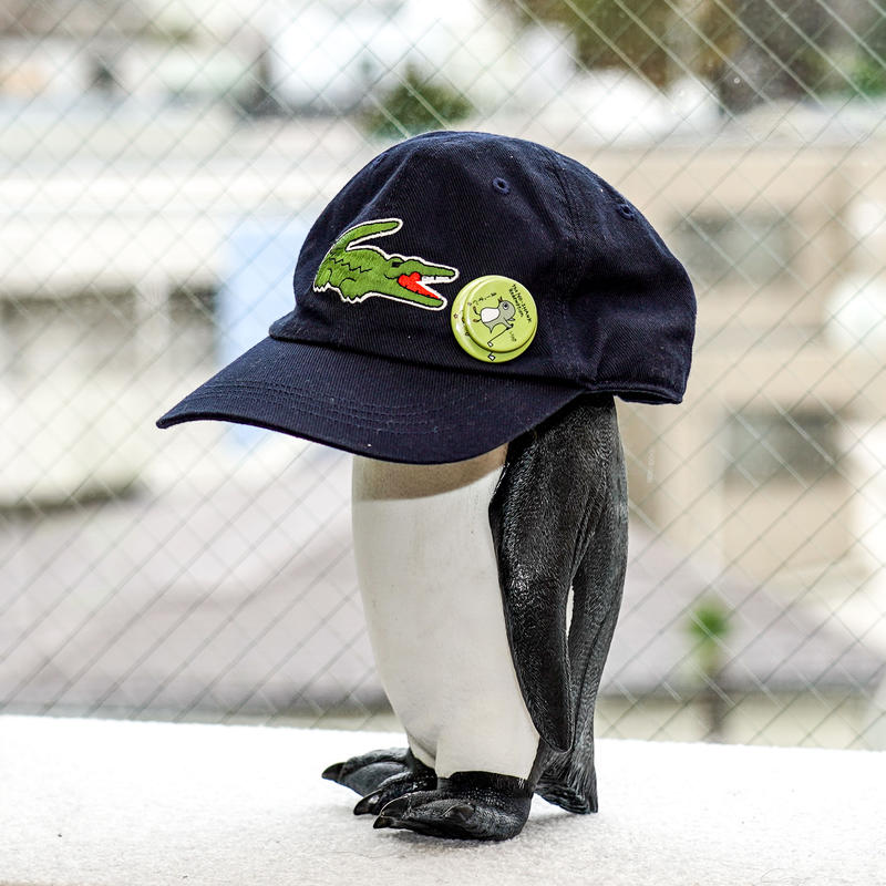 缶バッジ マグネット 煩悩のぼんちゃん リサオの世界