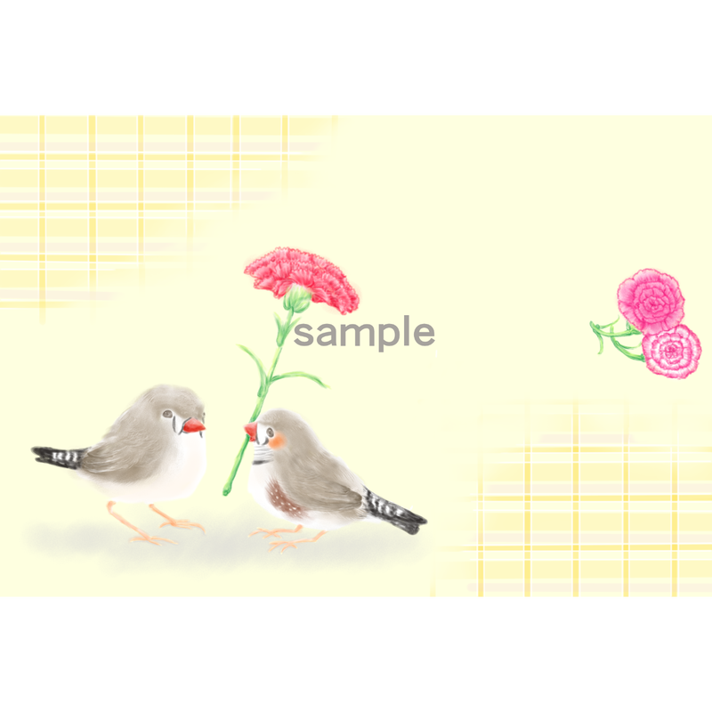小鳥とカーネーション Little Bird Holiday