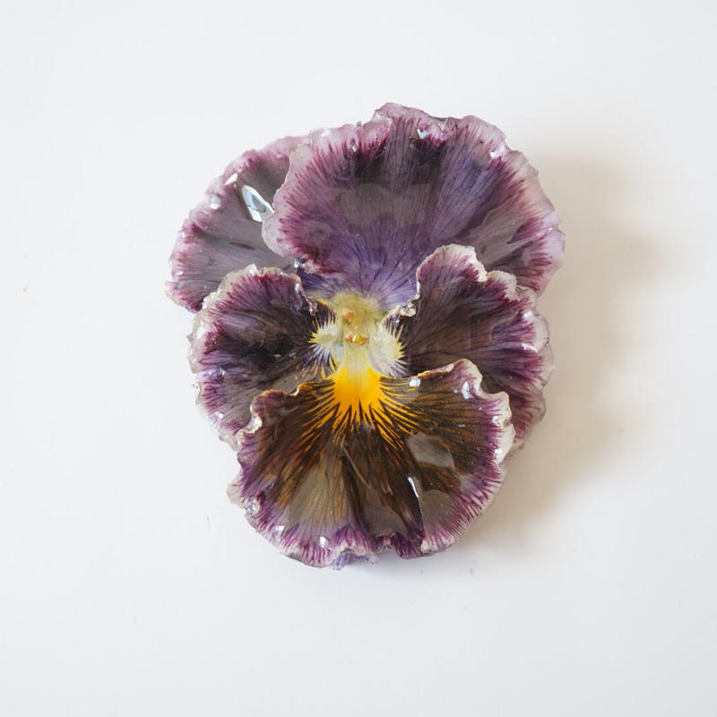 フリルパンジーセレクトa Little Witch フリルパンジーセレクトa Little Witch