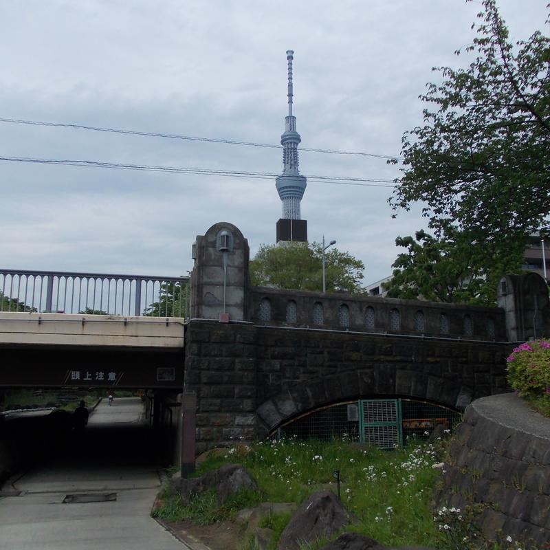 大横川親水公園法恩寺橋付近より東京スカイツリー 東京ロケハンｎａｖｉ 画像販売