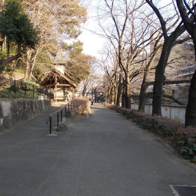 神田川沿い 江戸川公園 東京ロケハンｎａｖｉ 画像販売