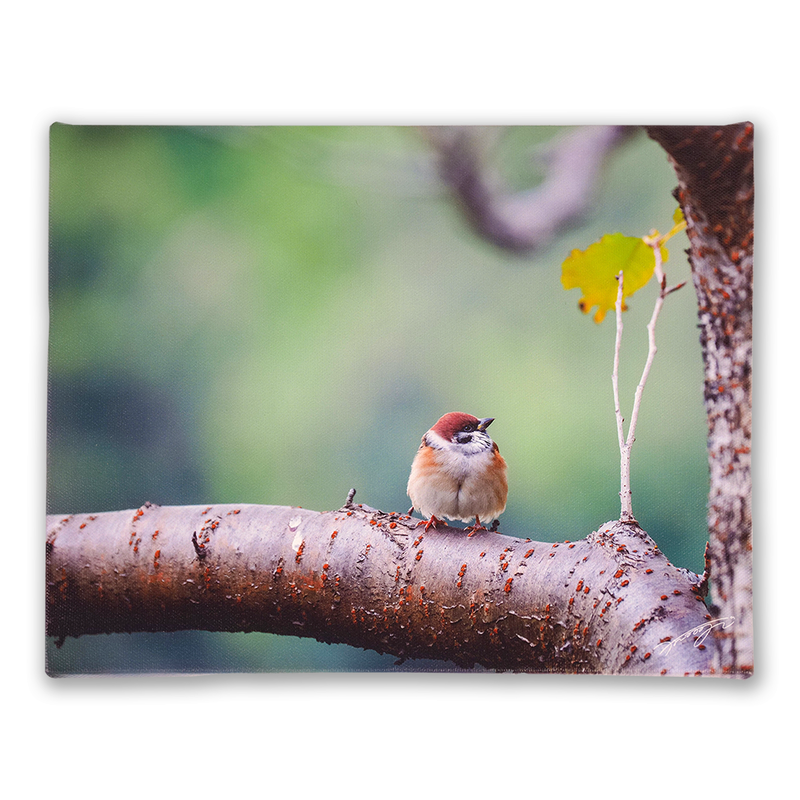 夏の終わりは秋の始まり キャンバスタイプ ビッグバージョン Alive Onlin