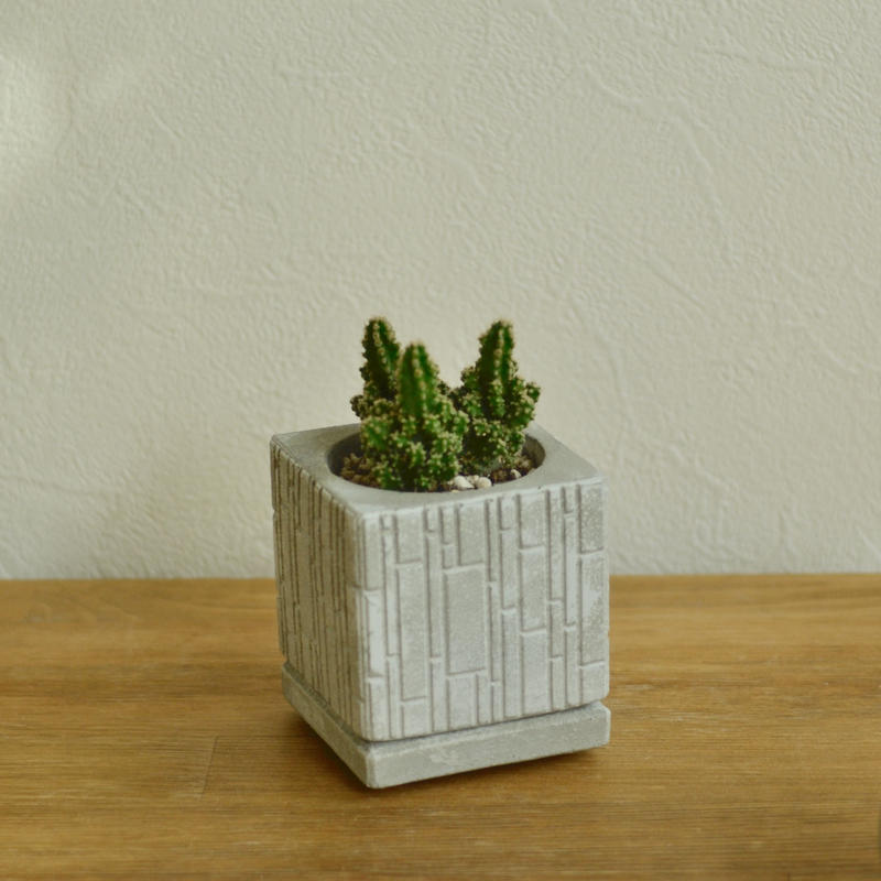 Will Hydro ハイドロカルチャー植木鉢 モルタルポット Lotus Plus