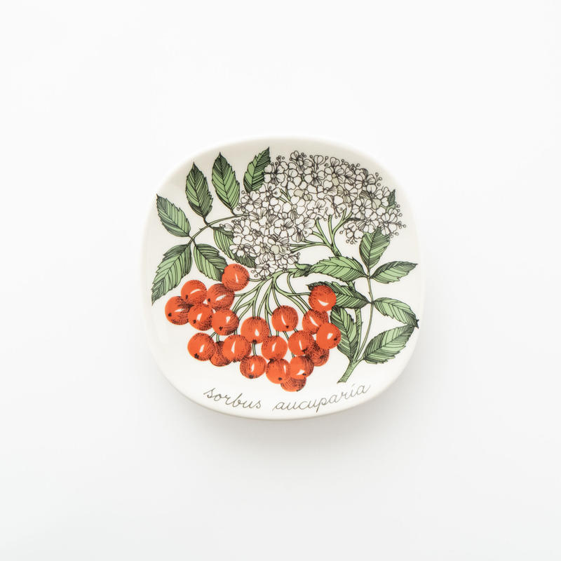 Botanica 44 セイヨウナナカマド Sorbus Aucuparia Lumi