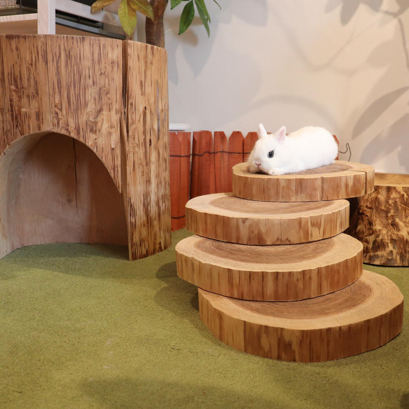 うさぎの丸太 高さ5 Lupinus Rabbitry