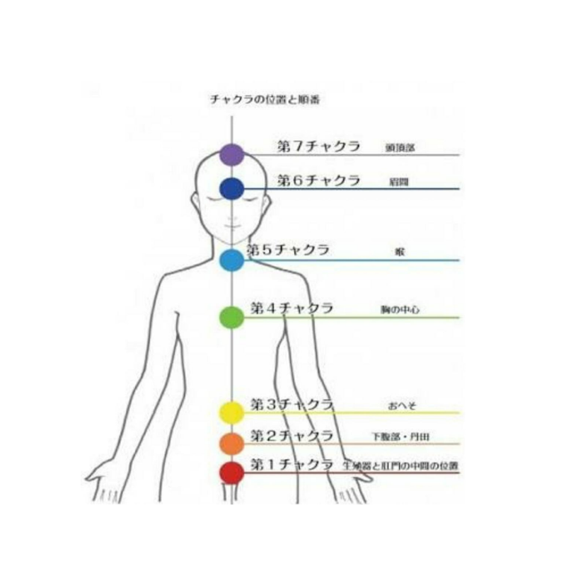 第 一 チャクラ 場所