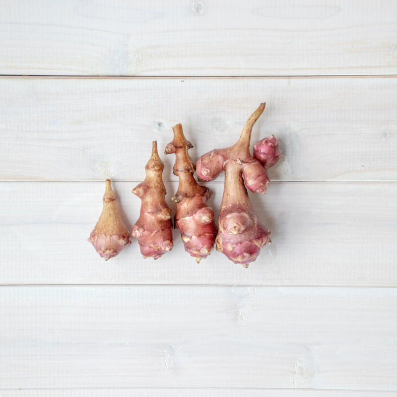 自然栽培 めずらしいフランス種 紅菊芋 約2kg Maemuki Farm Shop