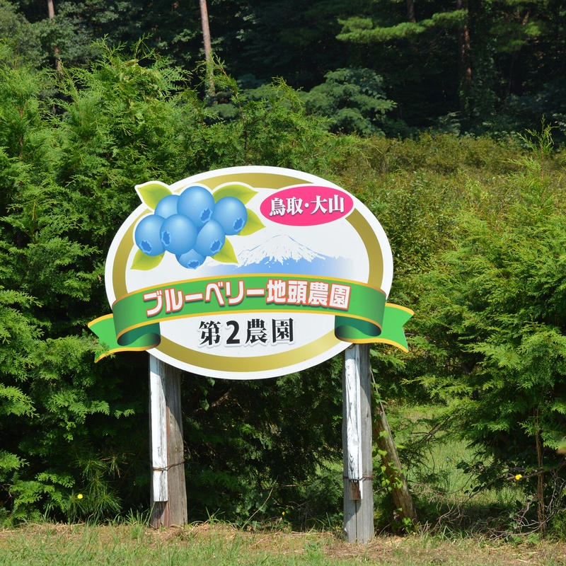 ヨーグルトのためのブルーベリーソース | 前田農園オンラインストア ヨーグルトのためのブルーベリーソース | 前田農園オンラインストア