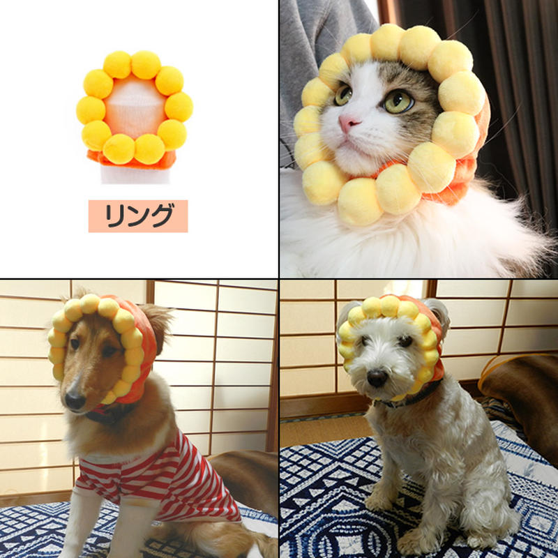 ペット かぶりもの 犬 猫 帽子 仮装 変身 アクセサリー 被り物 さかな フグ ひまわり リ