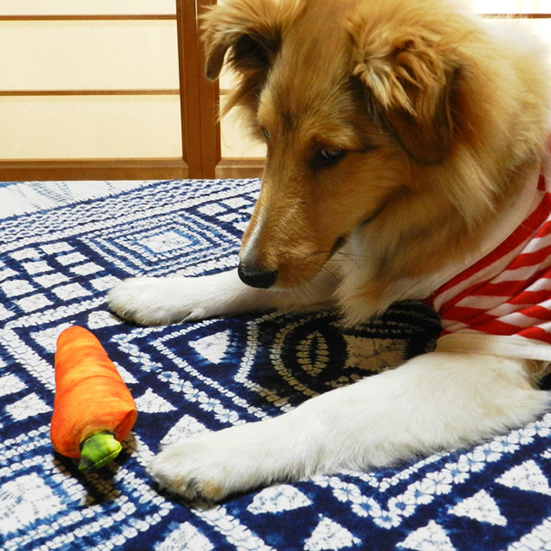 最安値で P L A Y 映える 犬のおもちゃお野菜３点セット ペット用品 Redragonusa Com