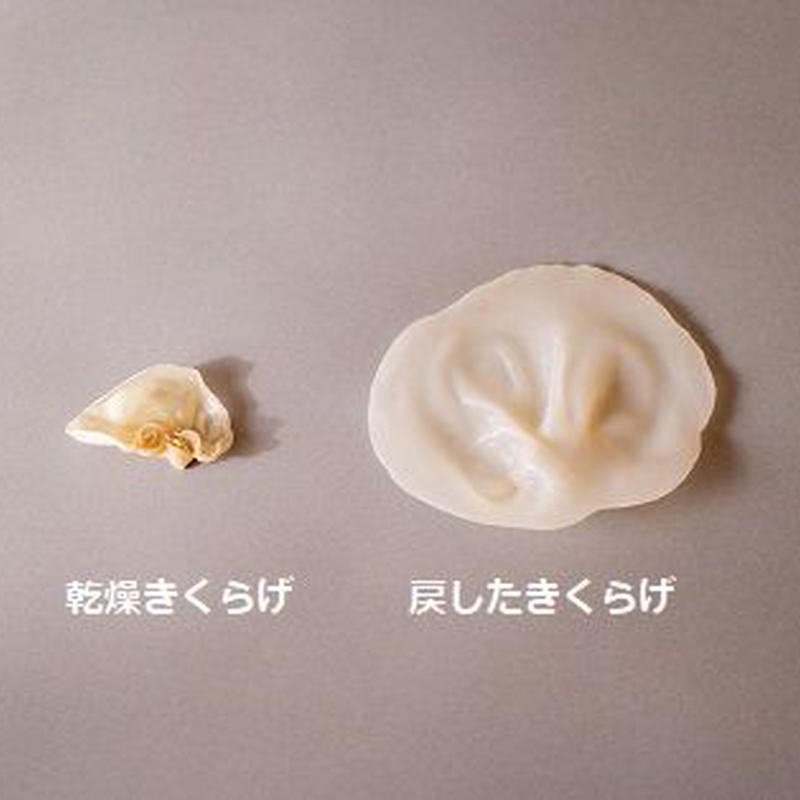 きくらげから始める美活 乾燥きくらげお試しセット 黒白各1袋 レシピ付き 満天きくらげ きくらげから始める美活 乾燥きくらげお試しセット 黒白各1袋 レシピ付き 満天きくらげ