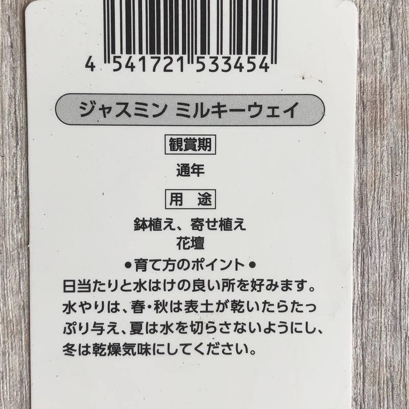 再値下げ 2苗セット ハゴロモジャスミンミルキーウェイ Petit Garden Son