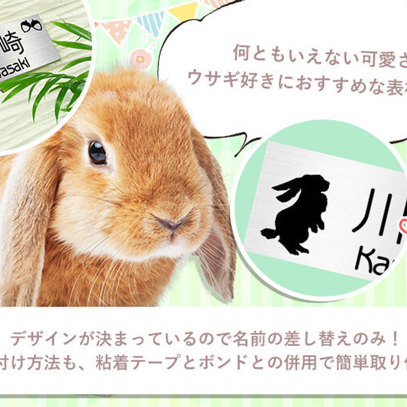 ステンレス表札 送料無料 マンションタイプ うさぎとドングリ サンドブラスト エッチング表札