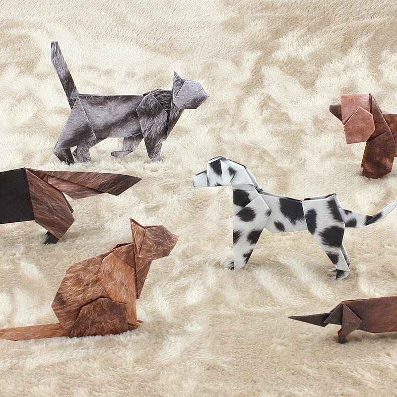 折り紙 G ダルメシアン トイプードル ダックスフンド マルモ印刷 折り紙 G ダルメシアン トイプードル ダックスフンド マルモ印刷