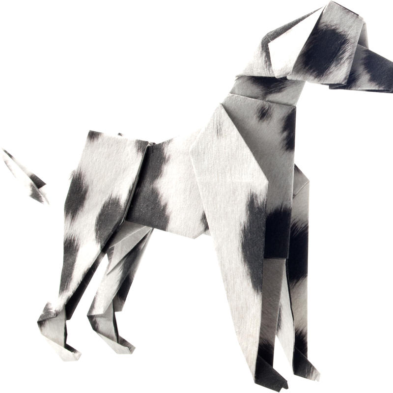 折り紙 G ダルメシアン トイプードル ダックスフンド マルモ印刷 折り紙 G ダルメシアン トイプードル ダックスフンド マルモ印刷