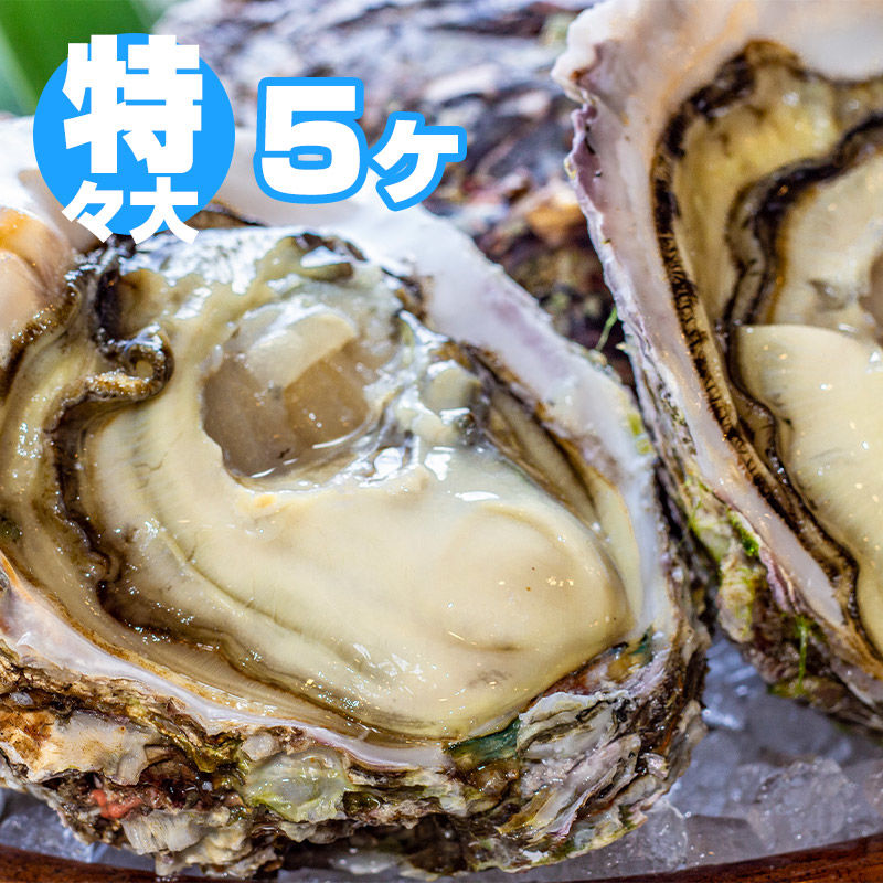 特々大 5ヶ入 徳島県産 天然岩牡蠣 渦潮岩牡蠣 徳島産天然岩牡蠣 イワガキ の通販 特々大 5ヶ入 徳島県産 天然岩牡蠣 渦潮岩牡蠣 徳島産天然岩牡蠣 イワガキ の通販