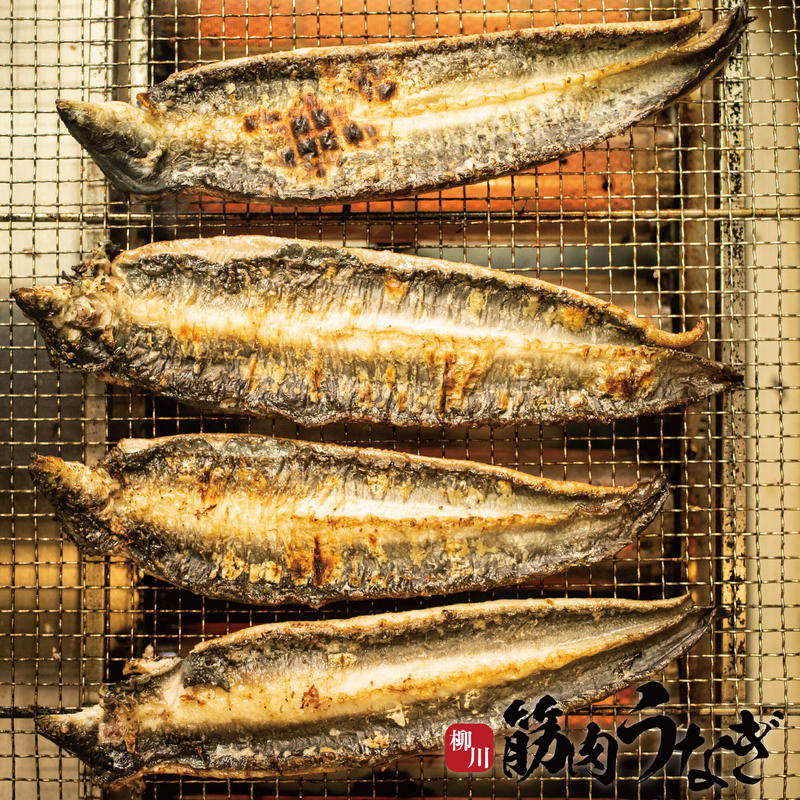 柳川筋肉うなぎレジェンド 素焼き1尾 簡易包装 1尾250g以上 Matsuo
