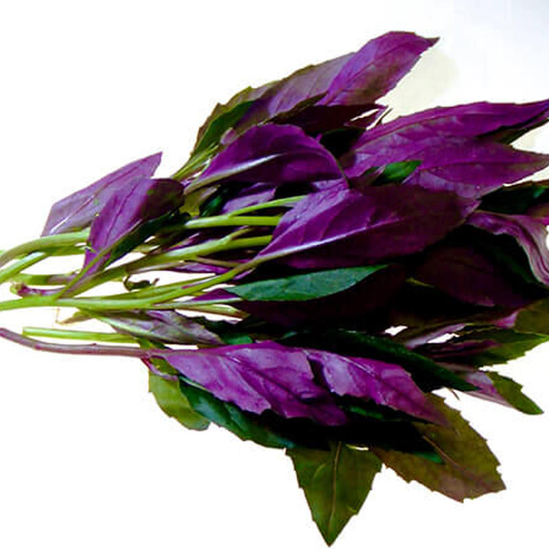 水前寺菜マスク 3枚セット 松屋本館オンラインショップ