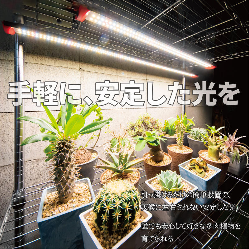 台数限定 Super Sunlight60 60cm 植物育成用led ライト 多