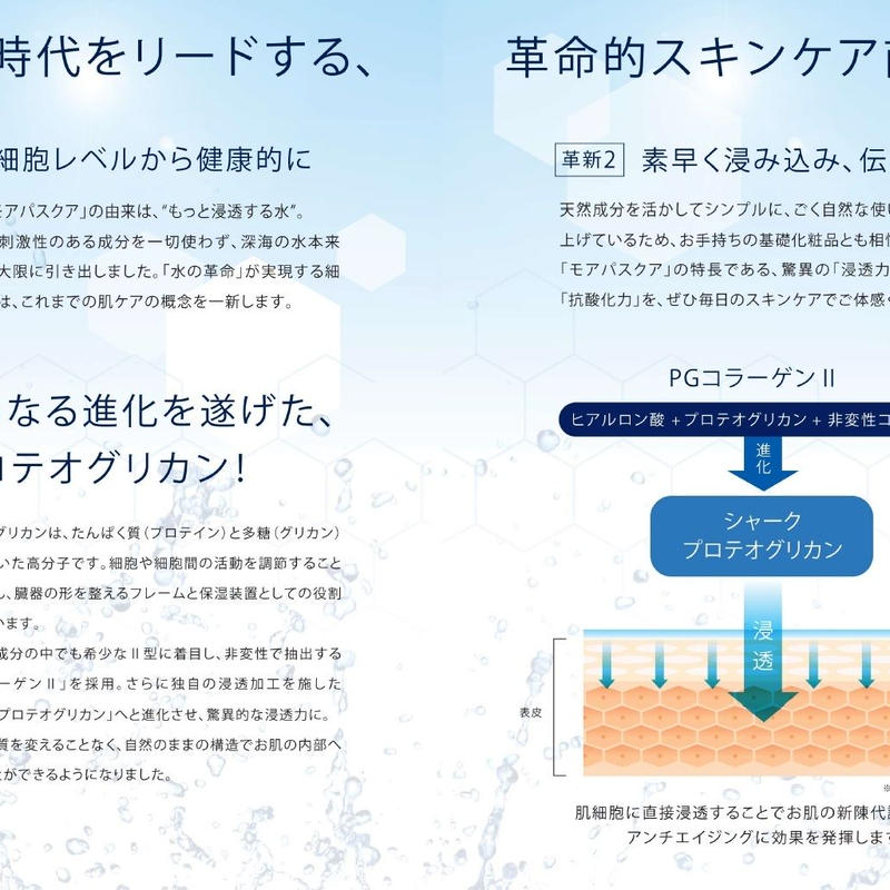 5本セット 今だけ 2本 驚異のプロテオグリカン モアパスクア 柳都や Ryutoya