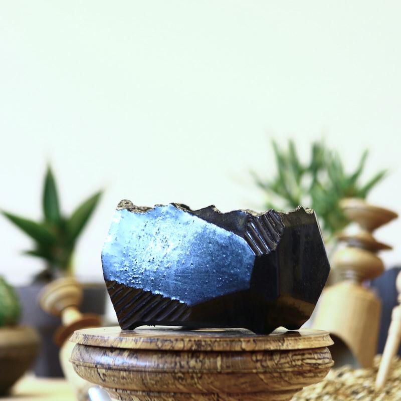 鉢セット売りBOTANIZE 芽の巣山N/OH