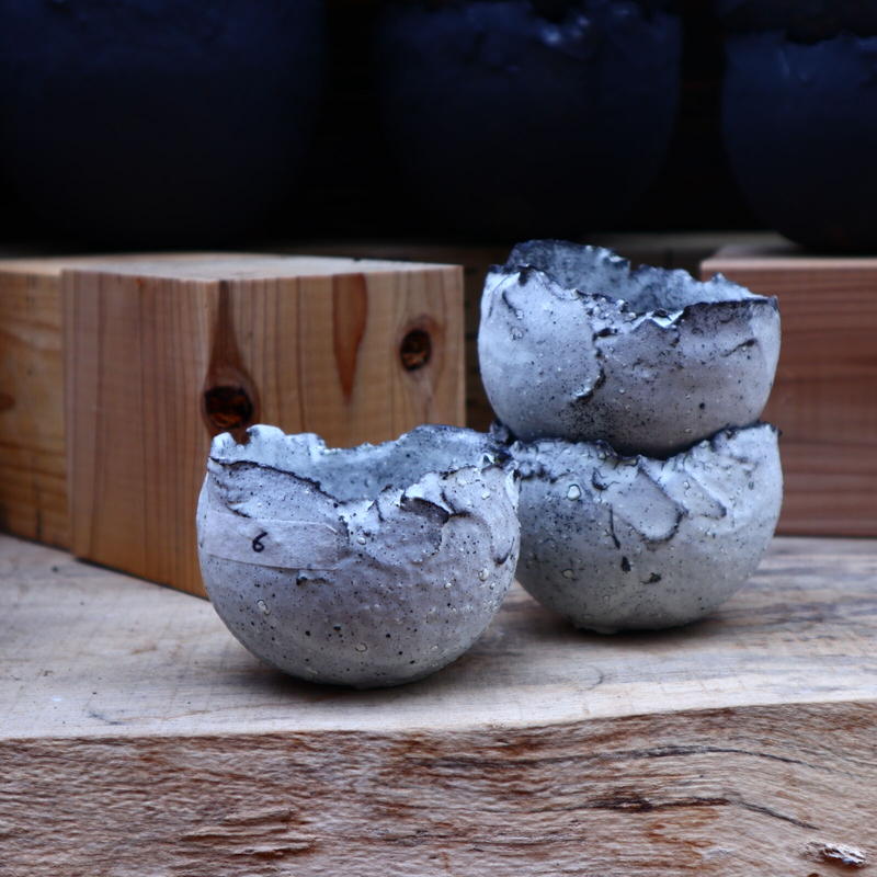 100%正規品 たけろうポット チギリ 植物/観葉植物 - education.semel