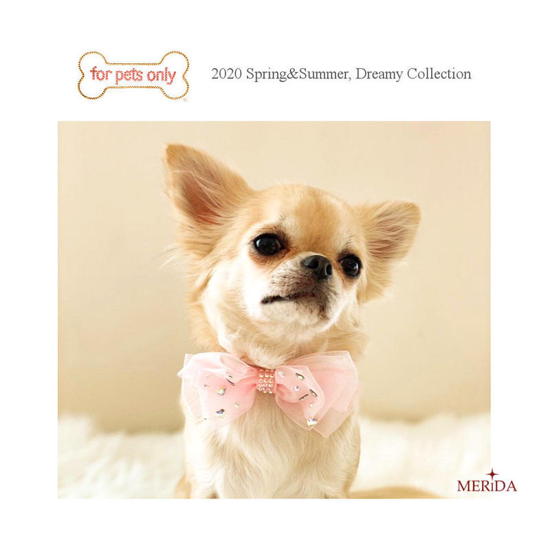 for pets only 新品スペシャルオーダー カラー25cm＆リード限定品