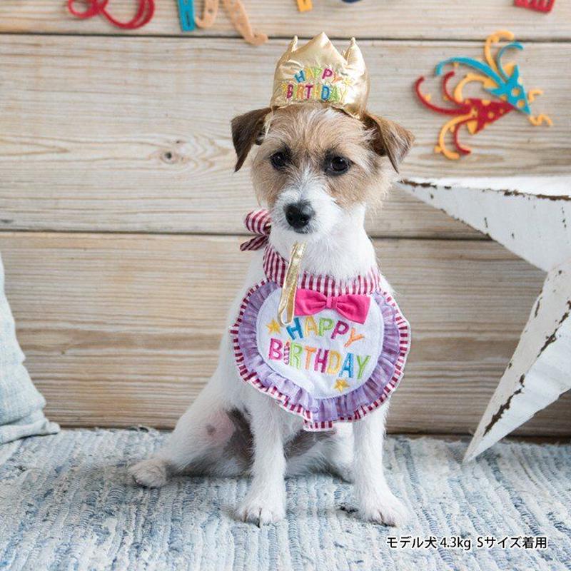 ハッピースタイ Mサイズ 誕生日 ハッピーバースデー 犬用 わんこ お祝い 写真 撮影 スタイ