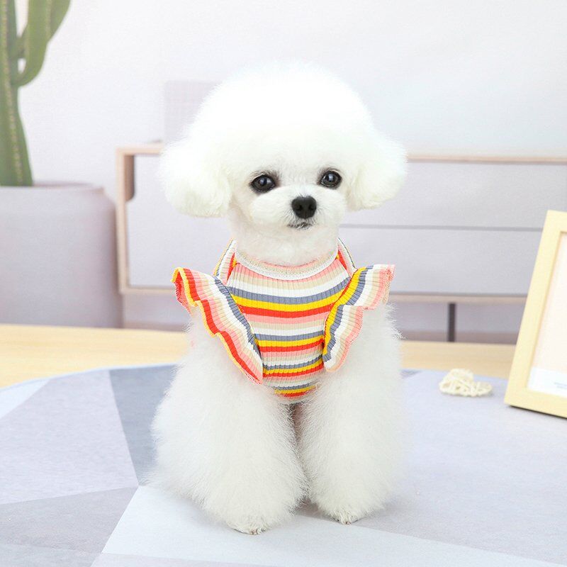 ボーダーワンピ ピンク 犬 わんこ 小型犬 可愛い ワンピース 乙女 ふりふり フリフリ ボーダーワンピ ピンク 犬 わんこ 小型犬 可愛い ワンピース 乙女 ふりふり フリフリ