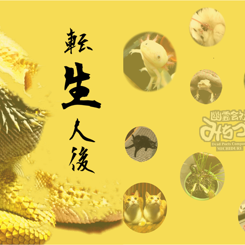 19年3月発売11曲入りアルバム 転生人後 Cd 幽霊会社みちづれ