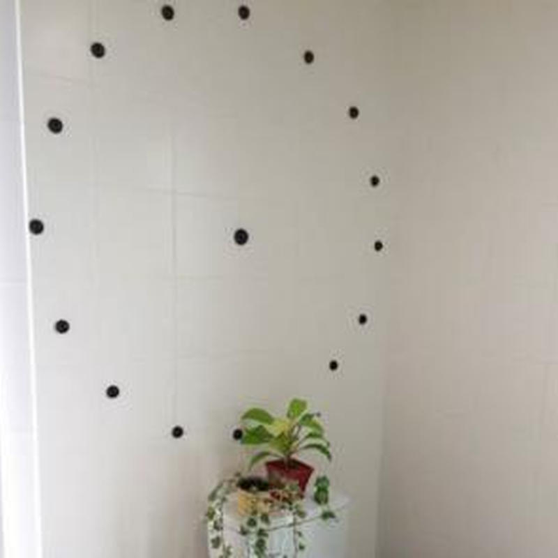 Chc16チャコボールset Crystal Marche Mio