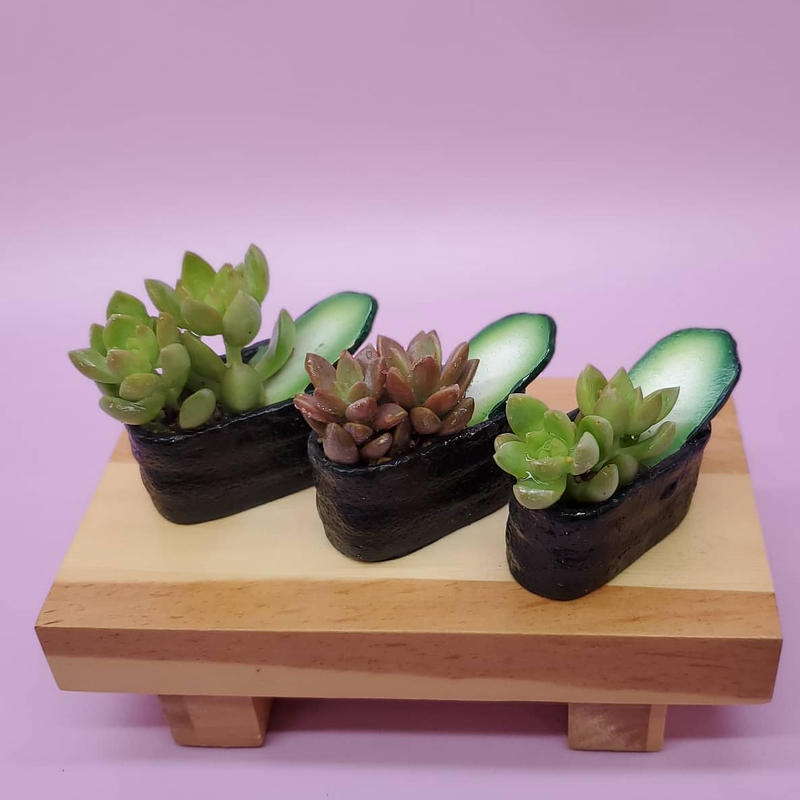 多肉植物 おまかせ 軍艦巻き 3カン アレンジメント ソープフラワー インターネット通販