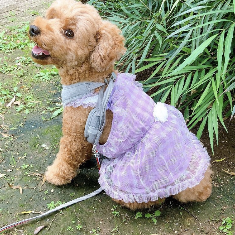 犬用 チェック柄チュールキャミワンピース パープル Cn 962 Pa Minayo
