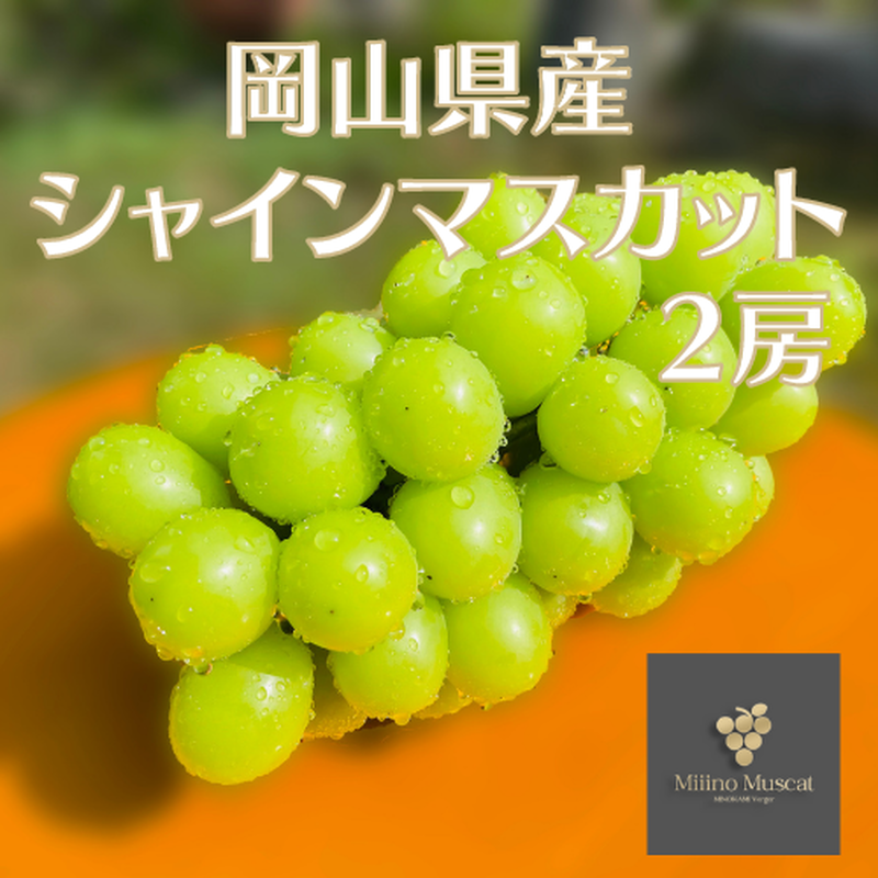 数量限定】 シャインマスカット 2房 【1房650g以上】 | MINOKAMI Verger