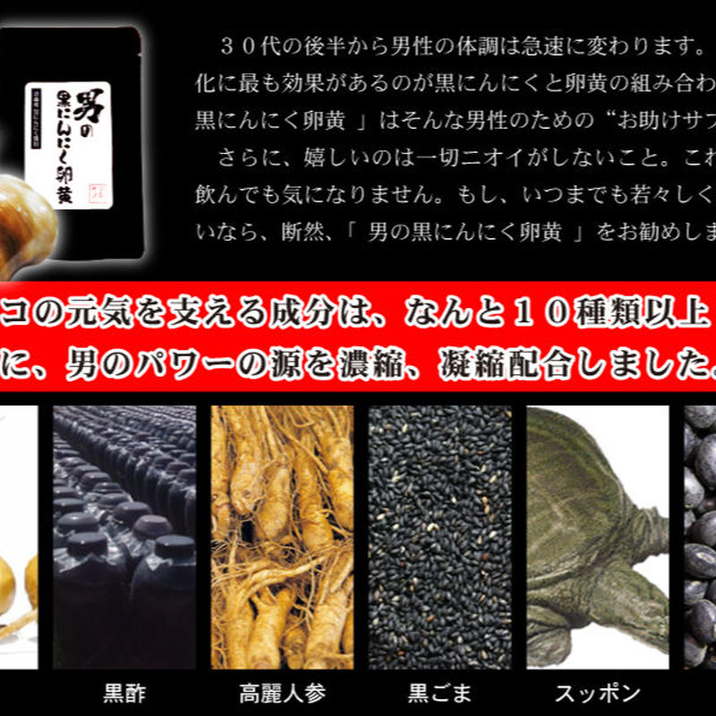 男の黒にんにく卵黄 戦うビジネスマンの新定番 単品 30粒 定期便 みんなのサプリ