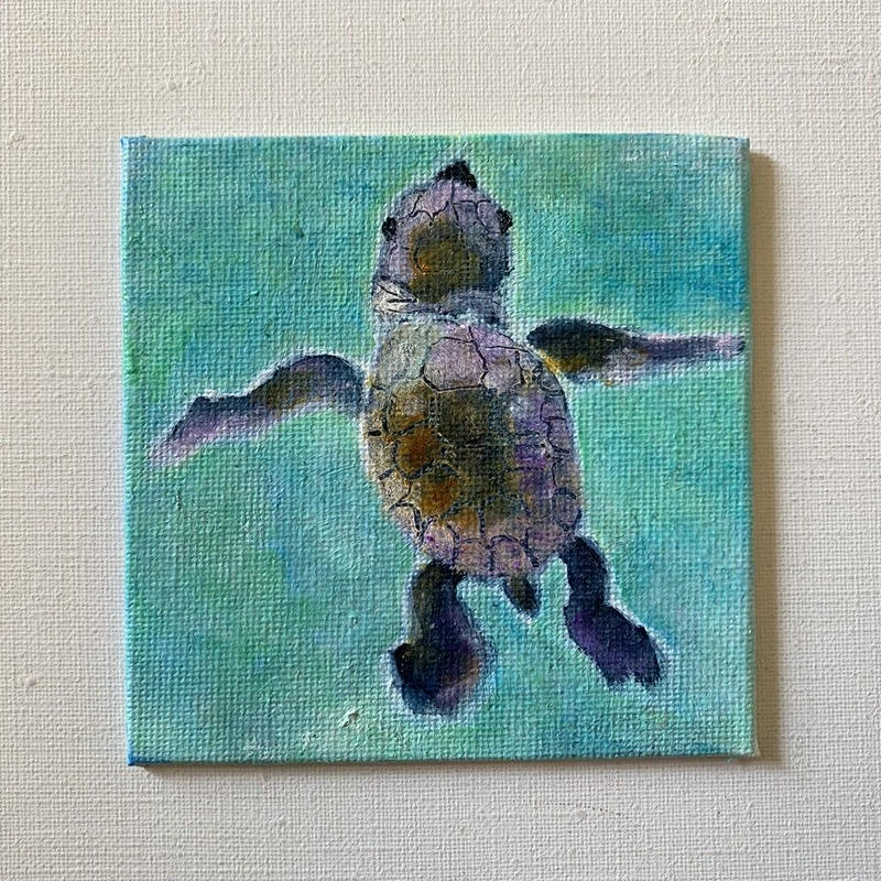 Mini Mini油絵 子供ウミガメ No 5 大塚水央 ミオ屋