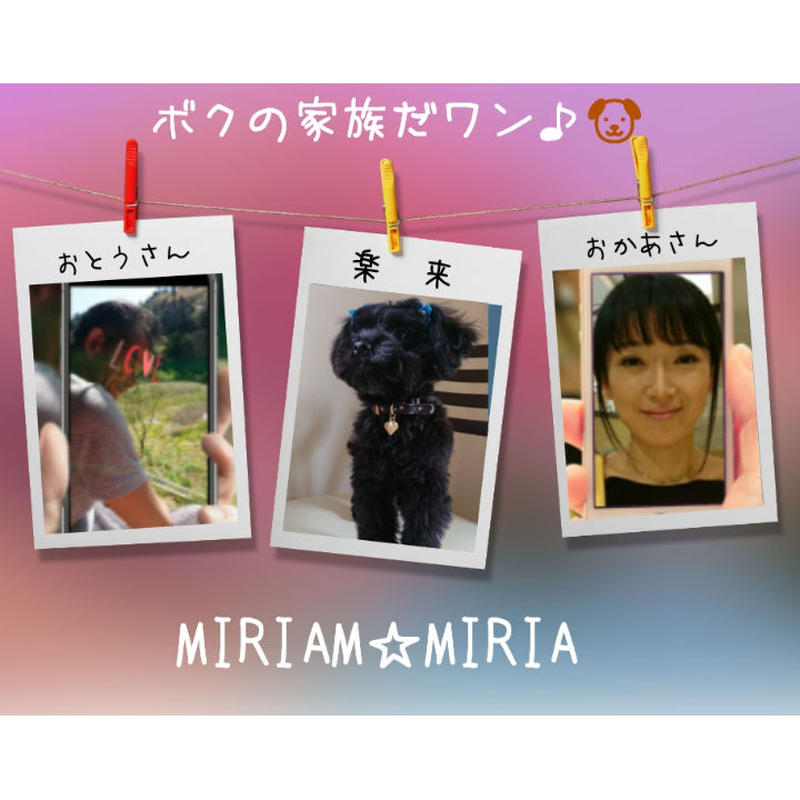 動物愛護団体 Npo法人サンタの家 とのコラボ商品 大切なペットの健康サポートに 動物サプリ