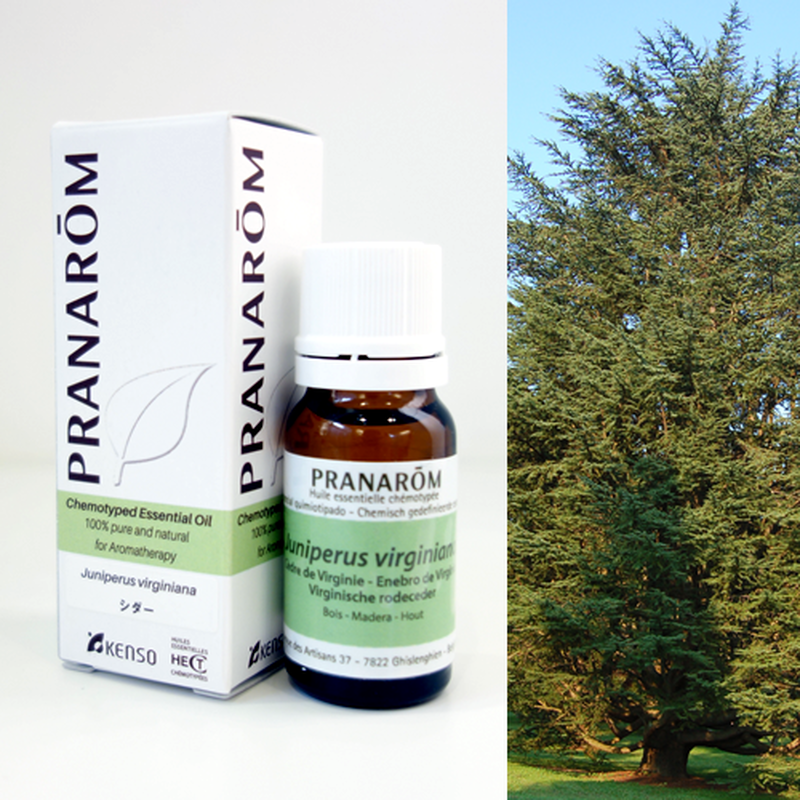 大勧め 「超稀少」ロロピアーナ ノベルティ アロマ シダーウッド製