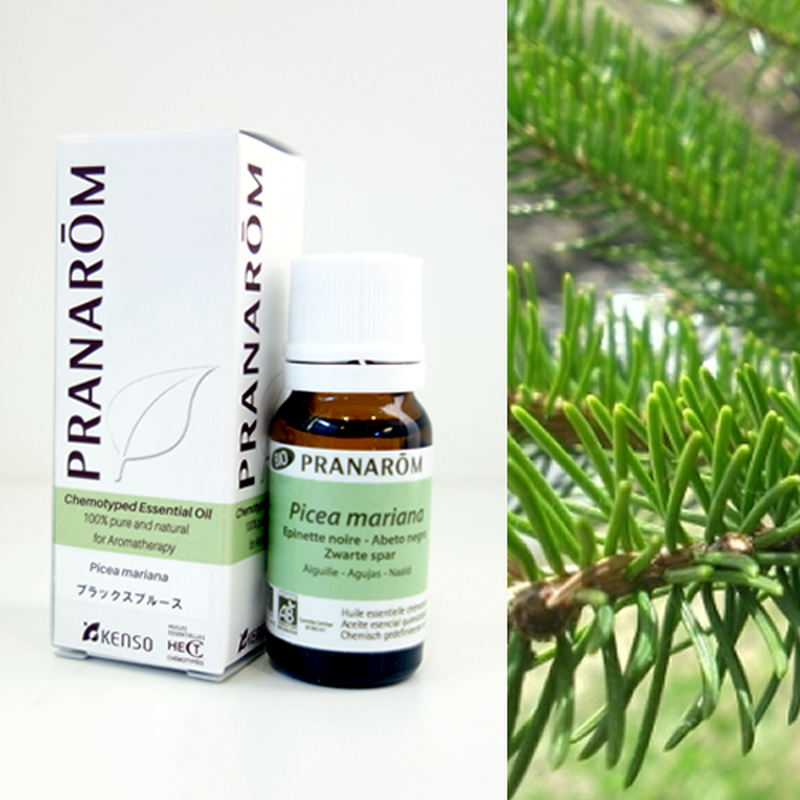 ブラックスプルース 10ml Perfume Onlineshop