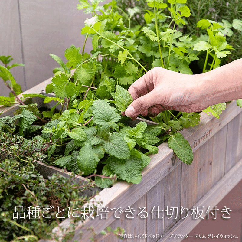 ハーブプランター スリム イギリス生まれのレイズドベッド 家庭菜園 Wk 08f ナチュラル