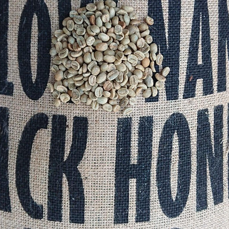 グァテマラ リンダビスタ農園イエローナンセ ブラックハニー(コーヒー生豆) 10kg | モン... グァテマラ リンダビスタ農園イエローナンセ ブラックハニー(コーヒー生豆) 10kg | モン...
